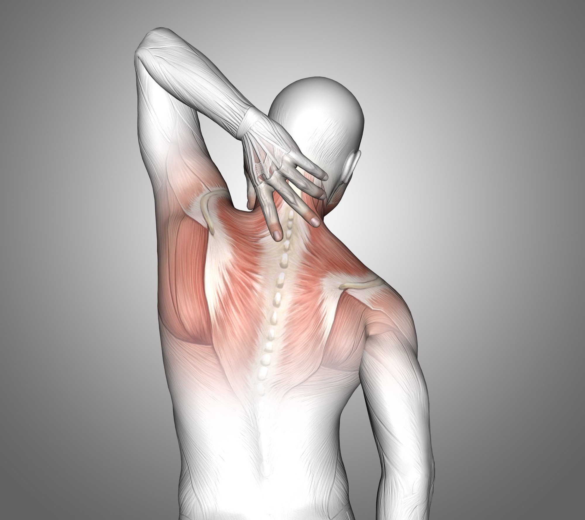 Musculoskeletal — Holistic pain management